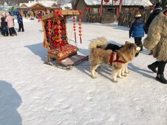 -雾凇岛
