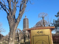 -西海子公园