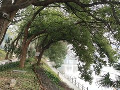 -甘棠公园