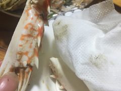 -罗源湾8号渔排