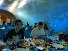 -海棠湾洲际-涛·海底餐厅·美人鱼·自助餐·海底隧道