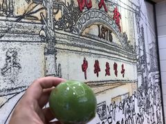 -沈大成(城隍庙店)