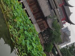 -龙潭水乡