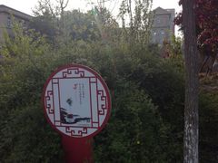 -绿岛公园(滨海新区)