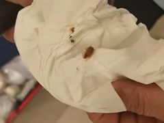 -成都明宇丽雅饭店