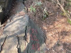 -南山植物园