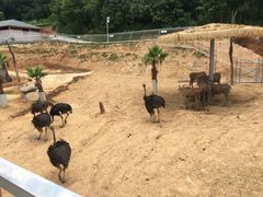 -泉州海丝野生动物世界