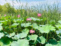 -太阳宫公园
