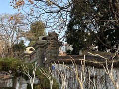 -泰山风景名胜区