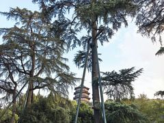 -浙江西子宾馆·瑶园咖啡厅