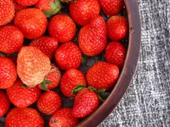 -盛邦家居建材广场