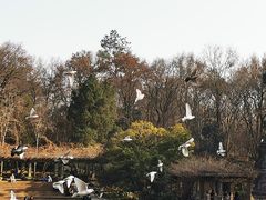 -音乐台
