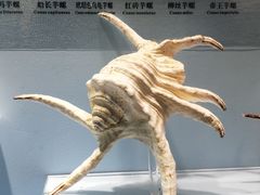 -温州博物馆