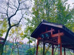-重庆彩云湖湿地公园
