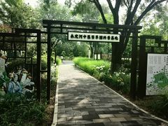 -绿堤公园