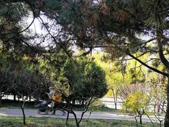 -元大都城垣遗址公园