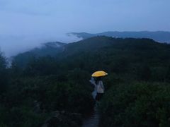 -长虫山生态公园风景林