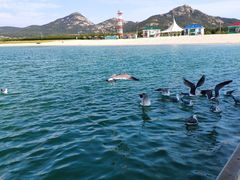 -海驴岛(荣成市)