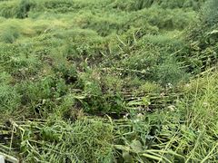 -中国天府农业博览园