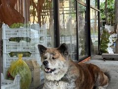 -马陆小张葡萄园农家乐