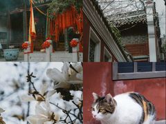 -长春观
