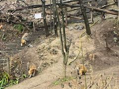 -黔灵山公园