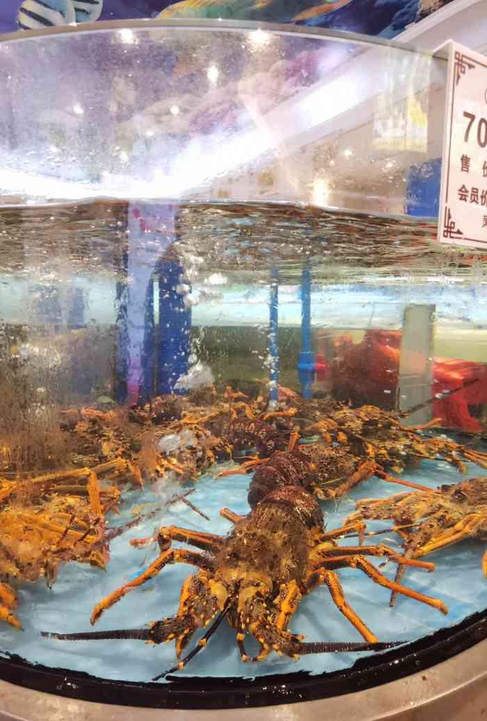 沪华海鲜大酒楼(嘉定店)-"今天叔叔过60岁生日98所以选了个离家近.