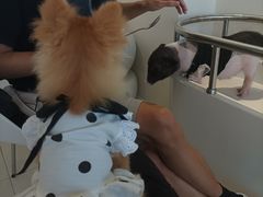 -怪兽屋·羊驼·猫咖·狗咖(俊华广场店)