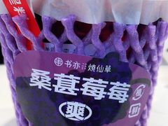 -书亦烧仙草(武侯五大花园店)
