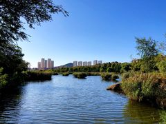 -前关湿地公园
