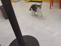 -谜盒子奇幻密室(南屏店)