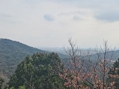 -红螺寺
