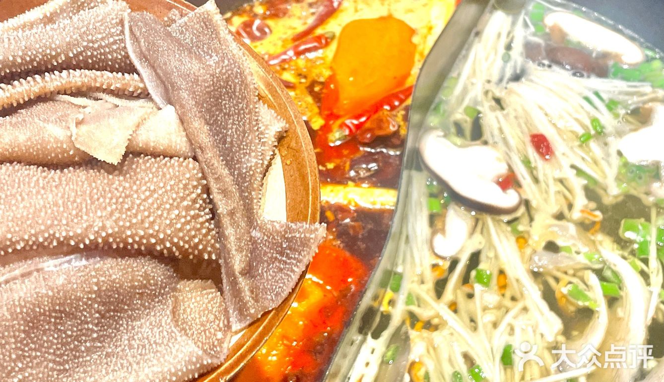 青年路这家重庆火锅值得来！》