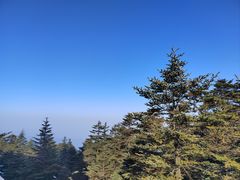 -峨眉山风景名胜区
