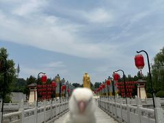 -函谷关历史文化旅游区