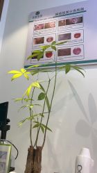-战痘宣颜科学皮肤管理祛痘中心