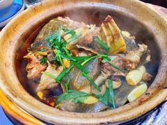 甲鱼煲-金龙·打边炉(武进路店)