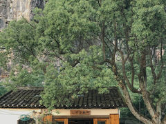 -村上春树