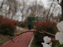 -南京市江宁方山