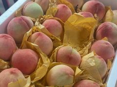 -南汇新场正宗水蜜桃采摘