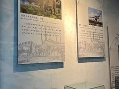 -中国西峡恐龙遗迹园