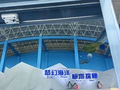 -泉城欧乐堡海洋极地世界