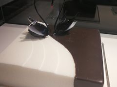 -BLACKSWAN黑天鹅(环球店)