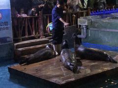 -锦艺城海洋馆