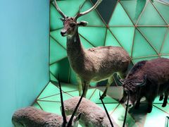 -自然博物馆新馆2楼餐厅