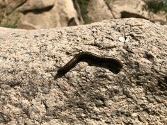 -碓臼峪自然风景区