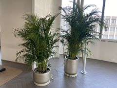 -YCHL FIT 健身(星寰店)