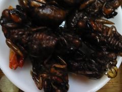 -昆虫窝子·特色云南菜(拓东路总店)
