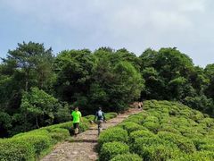 -西湖风景区十里琅珰-五云山