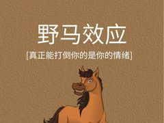 -安肯心理咨询(长宁旗舰店)